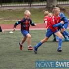 zdjęcie nr 10