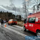 Fotka nr 1 z 3