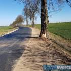 zdjęcie nr 7