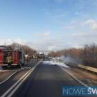 Fotka nr 5 z 12