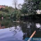 zdjęcie nr 41