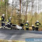 Fotka nr 1 z 5