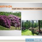 zdjęcie nr 38