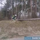 zdjęcie nr 12
