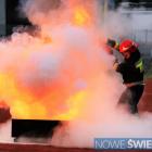Fotka nr 3 z 19