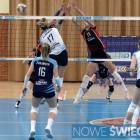 Fotka nr 3 z 18