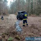 Fotka nr 1 z 3