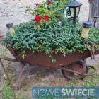 zdjęcie nr 25