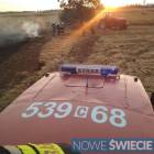 Fotka nr 5 z 7
