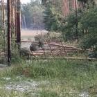 Fotka nr 1 z 14