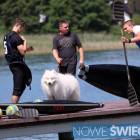 zdjęcie nr 24