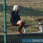 zdjęcie nr 9