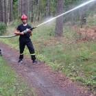 Fotka nr 3 z 13