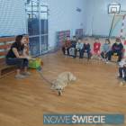 Fotka nr 1 z 13