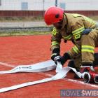 Fotka nr 5 z 19