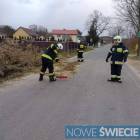 Fotka nr 1 z 13