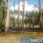 Fotka nr 3 z 11