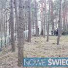 Fotka nr 1 z 5
