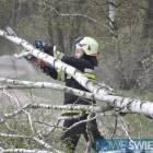 Fotka nr 4 z 17