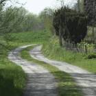 zdjęcie nr 46
