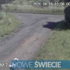 Fotka nr 3 z 14