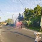 Fotka nr 2 z 19
