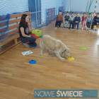 zdjęcie nr 11