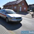 zdjęcie nr 42