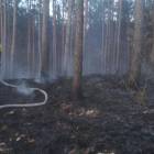 fot. OSP Wielki Komorsk