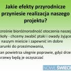 Fotka nr 4 z 10