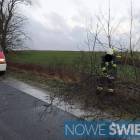 zdjęcie nr 8