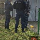 Fotka nr 4 z 5
