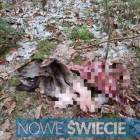 Fotka nr 2 z 3