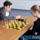 Fotka nr 2 z 17