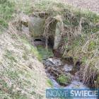Fotka nr 3 z 11