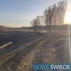 Fotka nr 5 z 7