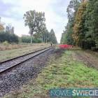 Fotka nr 4 z 11