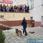 zdjęcie nr 18