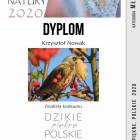 zdjęcie nr 11