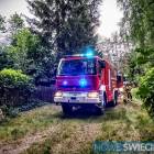 Fotka nr 1 z 3