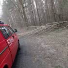 Fotka nr 3 z 14