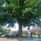 zdjęcie nr 7