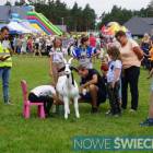 zdjęcie nr 35