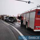 Fotka nr 1 z 3