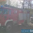 Fotka nr 5 z 7