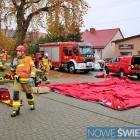 Fotka nr 3 z 16