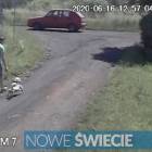 zdjęcie nr 12