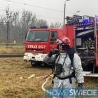 zdjęcie nr 9