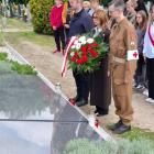 zdjęcie nr 15