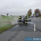 zdjęcie nr 8